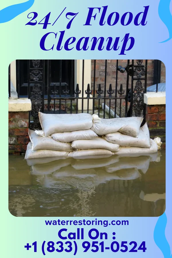24/7 Flood Cleanup in Sycamore, SC