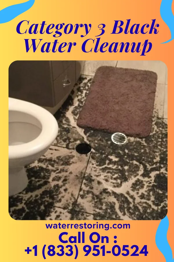 Category 3 Black Water Cleanup in Sycamore, SC