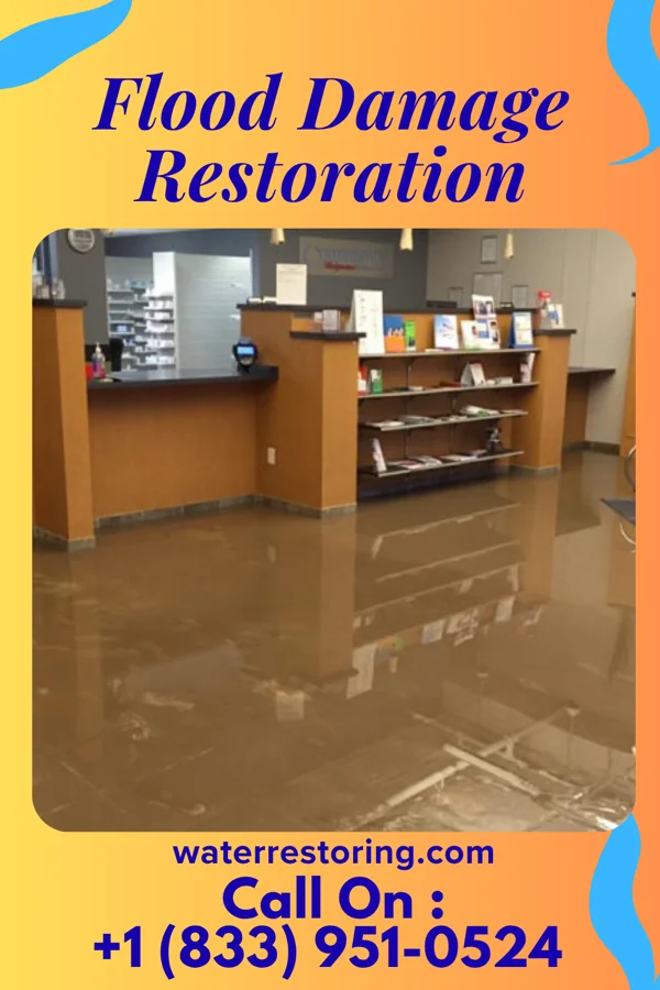 Flood Damage Restoration in Sycamore, SC