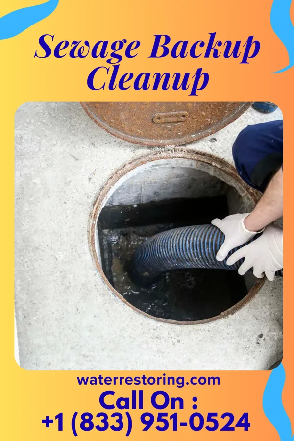 Sewage Backup Cleanup in Sycamore, SC