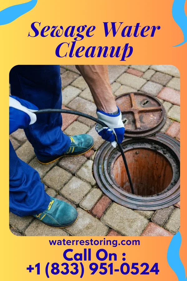 Sewage Water Cleanup in Sycamore, SC
