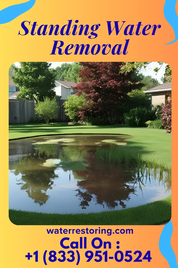 Standing Water Removal in Sycamore, SC